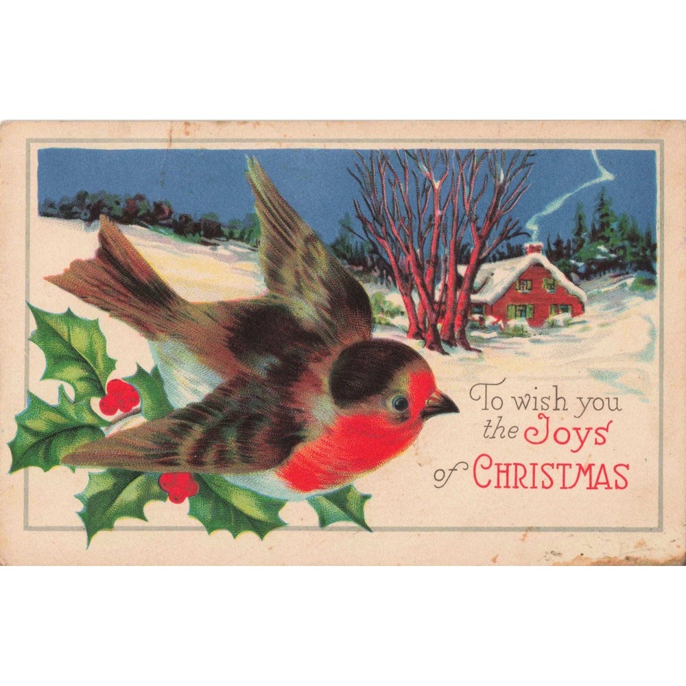 Christmas Postcard Robin Bird Winter Cottage Series 1550 D Divided Back